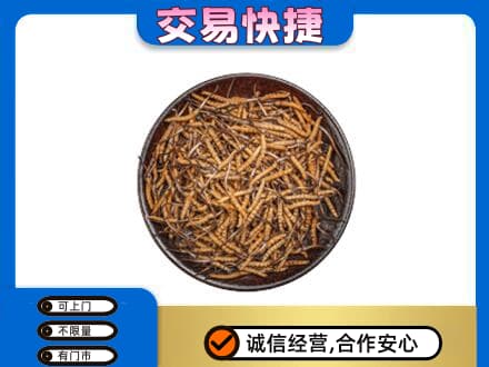 自贡市荣县礼品回收虫草.jpg